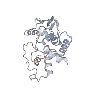 21632_6wdd_I_v1-2
Cryo-EM of elongating ribosome with EF-Tu*GTP elucidates tRNA proofreading (Cognate Structure V-A)