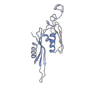 21632_6wdd_J_v1-2
Cryo-EM of elongating ribosome with EF-Tu*GTP elucidates tRNA proofreading (Cognate Structure V-A)