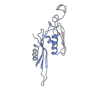 21632_6wdd_J_v1-3
Cryo-EM of elongating ribosome with EF-Tu*GTP elucidates tRNA proofreading (Cognate Structure V-A)