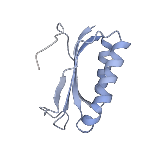 21632_6wdd_K_v1-2
Cryo-EM of elongating ribosome with EF-Tu*GTP elucidates tRNA proofreading (Cognate Structure V-A)