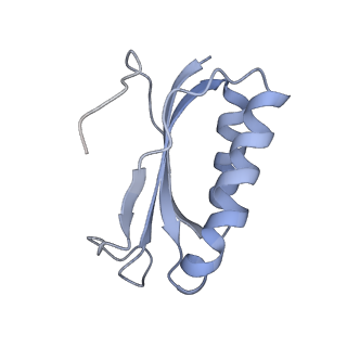 21632_6wdd_K_v1-3
Cryo-EM of elongating ribosome with EF-Tu*GTP elucidates tRNA proofreading (Cognate Structure V-A)