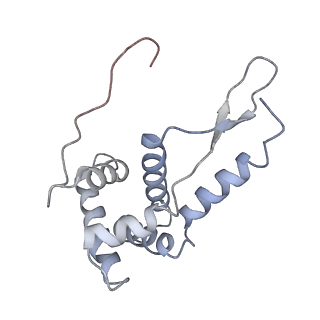 21632_6wdd_L_v1-2
Cryo-EM of elongating ribosome with EF-Tu*GTP elucidates tRNA proofreading (Cognate Structure V-A)