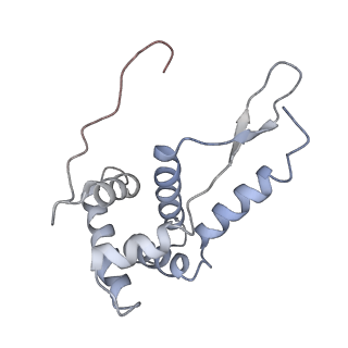 21632_6wdd_L_v1-3
Cryo-EM of elongating ribosome with EF-Tu*GTP elucidates tRNA proofreading (Cognate Structure V-A)