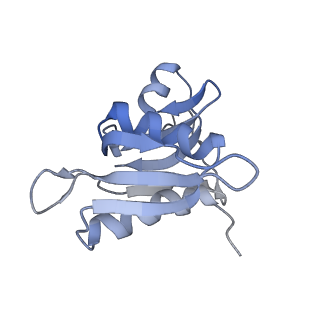 21632_6wdd_M_v1-2
Cryo-EM of elongating ribosome with EF-Tu*GTP elucidates tRNA proofreading (Cognate Structure V-A)