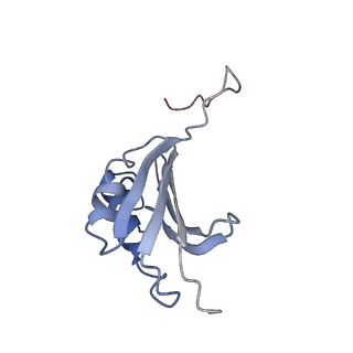 21632_6wdd_P_v1-2
Cryo-EM of elongating ribosome with EF-Tu*GTP elucidates tRNA proofreading (Cognate Structure V-A)