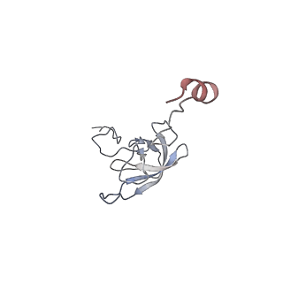 21632_6wdd_Q_v1-2
Cryo-EM of elongating ribosome with EF-Tu*GTP elucidates tRNA proofreading (Cognate Structure V-A)