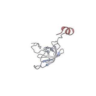 21632_6wdd_Q_v1-3
Cryo-EM of elongating ribosome with EF-Tu*GTP elucidates tRNA proofreading (Cognate Structure V-A)