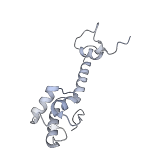21632_6wdd_R_v1-2
Cryo-EM of elongating ribosome with EF-Tu*GTP elucidates tRNA proofreading (Cognate Structure V-A)