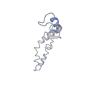 21632_6wdd_S_v1-3
Cryo-EM of elongating ribosome with EF-Tu*GTP elucidates tRNA proofreading (Cognate Structure V-A)