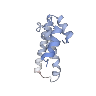 21632_6wdd_T_v1-3
Cryo-EM of elongating ribosome with EF-Tu*GTP elucidates tRNA proofreading (Cognate Structure V-A)