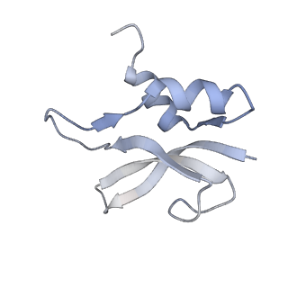 21632_6wdd_U_v1-2
Cryo-EM of elongating ribosome with EF-Tu*GTP elucidates tRNA proofreading (Cognate Structure V-A)