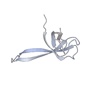 21632_6wdd_V_v1-2
Cryo-EM of elongating ribosome with EF-Tu*GTP elucidates tRNA proofreading (Cognate Structure V-A)