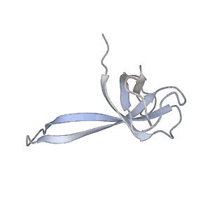 21632_6wdd_V_v1-3
Cryo-EM of elongating ribosome with EF-Tu*GTP elucidates tRNA proofreading (Cognate Structure V-A)