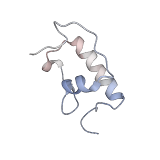21632_6wdd_W_v1-2
Cryo-EM of elongating ribosome with EF-Tu*GTP elucidates tRNA proofreading (Cognate Structure V-A)