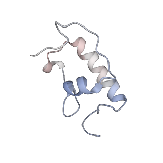 21632_6wdd_W_v1-3
Cryo-EM of elongating ribosome with EF-Tu*GTP elucidates tRNA proofreading (Cognate Structure V-A)