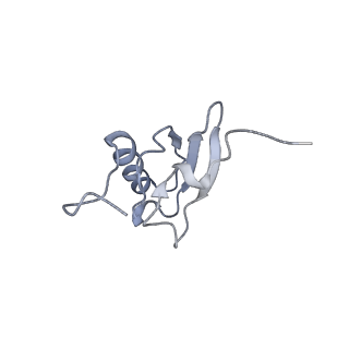 21632_6wdd_X_v1-2
Cryo-EM of elongating ribosome with EF-Tu*GTP elucidates tRNA proofreading (Cognate Structure V-A)
