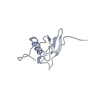 21632_6wdd_X_v1-3
Cryo-EM of elongating ribosome with EF-Tu*GTP elucidates tRNA proofreading (Cognate Structure V-A)