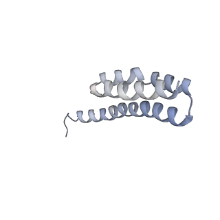 21632_6wdd_Y_v1-2
Cryo-EM of elongating ribosome with EF-Tu*GTP elucidates tRNA proofreading (Cognate Structure V-A)