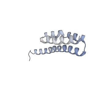 21632_6wdd_Y_v1-3
Cryo-EM of elongating ribosome with EF-Tu*GTP elucidates tRNA proofreading (Cognate Structure V-A)