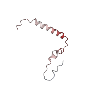 21632_6wdd_Z_v1-2
Cryo-EM of elongating ribosome with EF-Tu*GTP elucidates tRNA proofreading (Cognate Structure V-A)