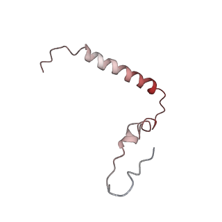 21632_6wdd_Z_v1-3
Cryo-EM of elongating ribosome with EF-Tu*GTP elucidates tRNA proofreading (Cognate Structure V-A)