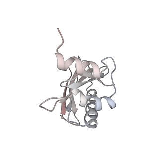 21632_6wdd_a_v1-2
Cryo-EM of elongating ribosome with EF-Tu*GTP elucidates tRNA proofreading (Cognate Structure V-A)