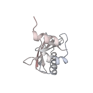 21632_6wdd_a_v1-3
Cryo-EM of elongating ribosome with EF-Tu*GTP elucidates tRNA proofreading (Cognate Structure V-A)