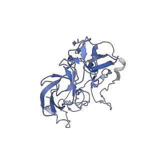 21632_6wdd_b_v1-2
Cryo-EM of elongating ribosome with EF-Tu*GTP elucidates tRNA proofreading (Cognate Structure V-A)