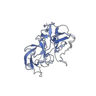 21632_6wdd_b_v1-3
Cryo-EM of elongating ribosome with EF-Tu*GTP elucidates tRNA proofreading (Cognate Structure V-A)