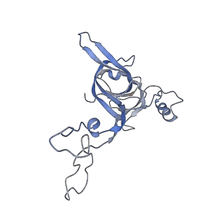 21632_6wdd_c_v1-2
Cryo-EM of elongating ribosome with EF-Tu*GTP elucidates tRNA proofreading (Cognate Structure V-A)