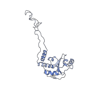 21632_6wdd_d_v1-2
Cryo-EM of elongating ribosome with EF-Tu*GTP elucidates tRNA proofreading (Cognate Structure V-A)