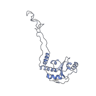 21632_6wdd_d_v1-3
Cryo-EM of elongating ribosome with EF-Tu*GTP elucidates tRNA proofreading (Cognate Structure V-A)