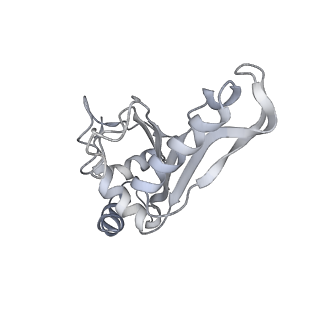 21632_6wdd_e_v1-2
Cryo-EM of elongating ribosome with EF-Tu*GTP elucidates tRNA proofreading (Cognate Structure V-A)