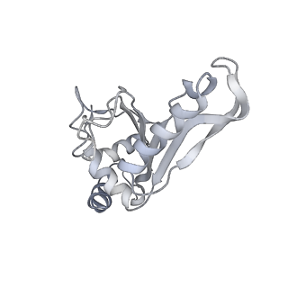 21632_6wdd_e_v1-3
Cryo-EM of elongating ribosome with EF-Tu*GTP elucidates tRNA proofreading (Cognate Structure V-A)