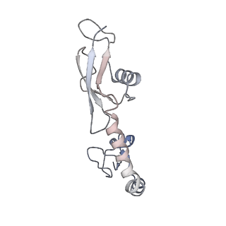 21632_6wdd_g_v1-2
Cryo-EM of elongating ribosome with EF-Tu*GTP elucidates tRNA proofreading (Cognate Structure V-A)