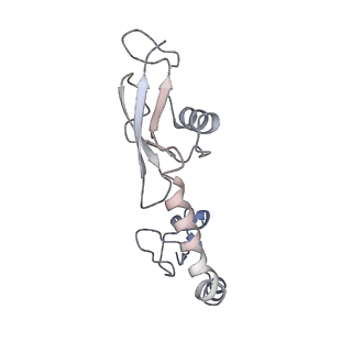 21632_6wdd_g_v1-3
Cryo-EM of elongating ribosome with EF-Tu*GTP elucidates tRNA proofreading (Cognate Structure V-A)