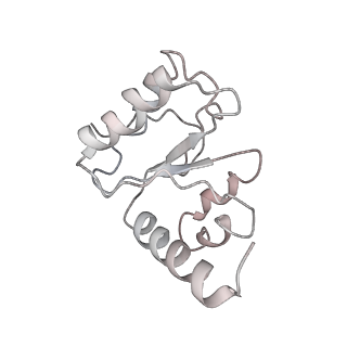 21632_6wdd_h_v1-2
Cryo-EM of elongating ribosome with EF-Tu*GTP elucidates tRNA proofreading (Cognate Structure V-A)