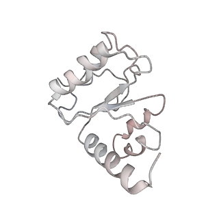 21632_6wdd_h_v1-3
Cryo-EM of elongating ribosome with EF-Tu*GTP elucidates tRNA proofreading (Cognate Structure V-A)