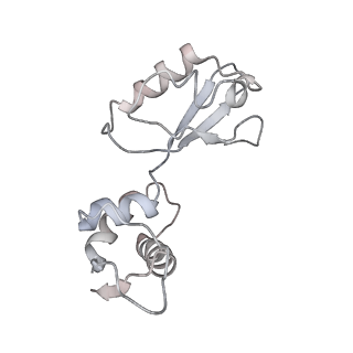 21632_6wdd_i_v1-2
Cryo-EM of elongating ribosome with EF-Tu*GTP elucidates tRNA proofreading (Cognate Structure V-A)