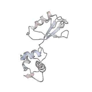 21632_6wdd_i_v1-3
Cryo-EM of elongating ribosome with EF-Tu*GTP elucidates tRNA proofreading (Cognate Structure V-A)