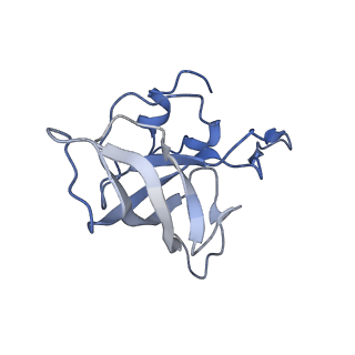 21632_6wdd_k_v1-2
Cryo-EM of elongating ribosome with EF-Tu*GTP elucidates tRNA proofreading (Cognate Structure V-A)