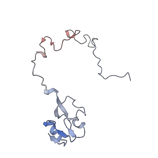 21632_6wdd_l_v1-2
Cryo-EM of elongating ribosome with EF-Tu*GTP elucidates tRNA proofreading (Cognate Structure V-A)