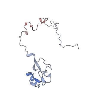 21632_6wdd_l_v1-3
Cryo-EM of elongating ribosome with EF-Tu*GTP elucidates tRNA proofreading (Cognate Structure V-A)
