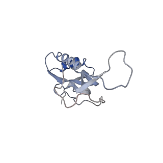 21632_6wdd_m_v1-3
Cryo-EM of elongating ribosome with EF-Tu*GTP elucidates tRNA proofreading (Cognate Structure V-A)