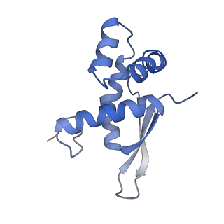 21632_6wdd_n_v1-2
Cryo-EM of elongating ribosome with EF-Tu*GTP elucidates tRNA proofreading (Cognate Structure V-A)