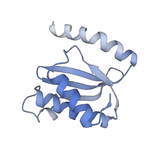 21632_6wdd_o_v1-2
Cryo-EM of elongating ribosome with EF-Tu*GTP elucidates tRNA proofreading (Cognate Structure V-A)