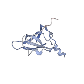21632_6wdd_p_v1-2
Cryo-EM of elongating ribosome with EF-Tu*GTP elucidates tRNA proofreading (Cognate Structure V-A)