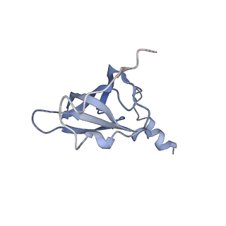 21632_6wdd_p_v1-3
Cryo-EM of elongating ribosome with EF-Tu*GTP elucidates tRNA proofreading (Cognate Structure V-A)