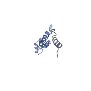 21632_6wdd_q_v1-2
Cryo-EM of elongating ribosome with EF-Tu*GTP elucidates tRNA proofreading (Cognate Structure V-A)