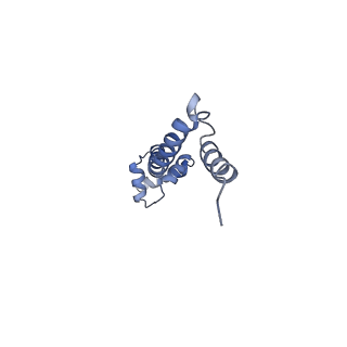 21632_6wdd_q_v1-3
Cryo-EM of elongating ribosome with EF-Tu*GTP elucidates tRNA proofreading (Cognate Structure V-A)